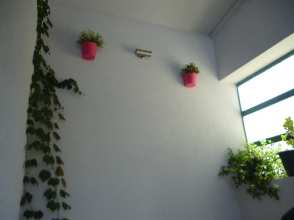 Apartment Duje Макарска Екстериор снимка